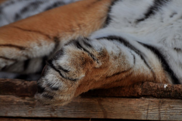 Similar image 21489294