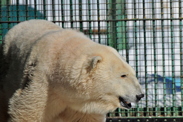 Similar image 21489295