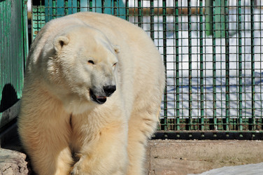 Similar image 21489296