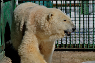 Similar image 21489574