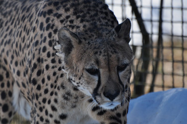 Similar image 21489575