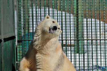 Similar image 21489576