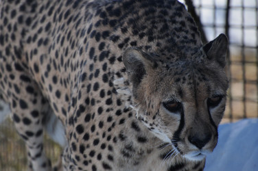 Similar image 21489577