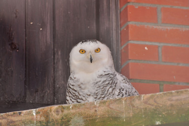 Similar image 21489989