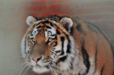 Similar image 21489990