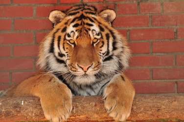 Similar image 21489991