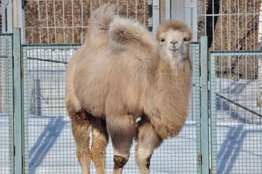 Similar image 21489993