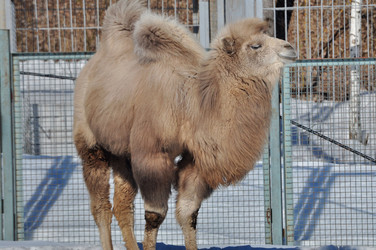 Similar image 21489994