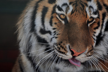 Similar image 21489995