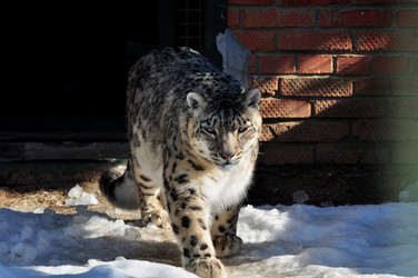 Similar image 21489996