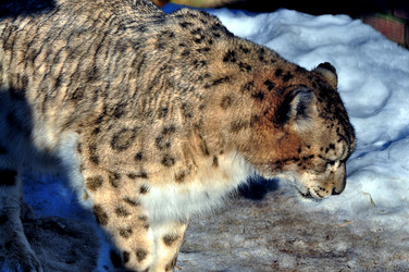 Similar image 21489997