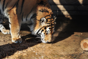 Similar image 21489998