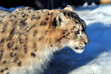 Similar image 21489999