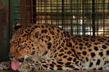 Similar image 21490000