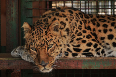 Similar image 21490003