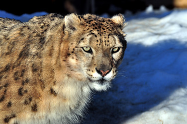 Similar image 21490279