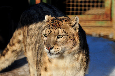 Similar image 21491610