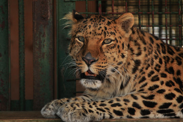 Similar image 21492129