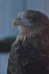 Similar image 21503042