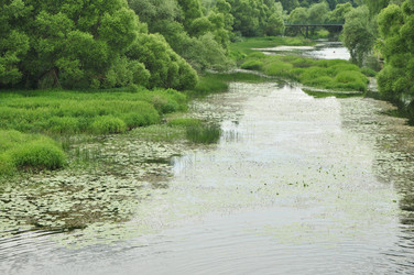 Similar image 21503043