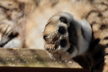 Similar image 21503472