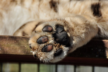 Similar image 21503474