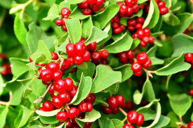 Similar image 21503475