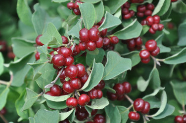 Similar image 21503476