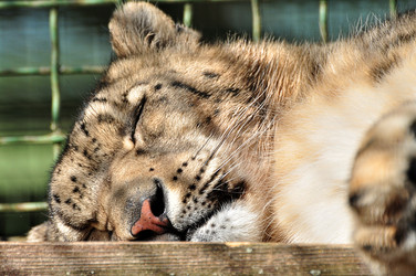 Similar image 21503480