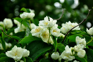 Similar image 21502601