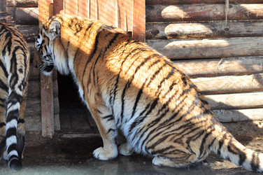 Similar image 21502602