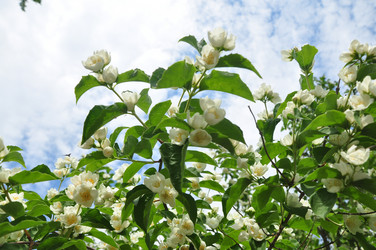 Similar image 21502603