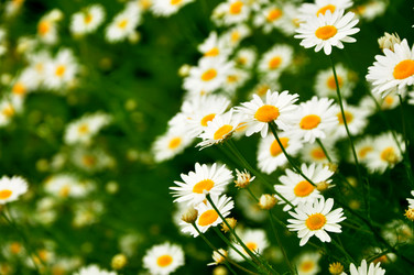 Similar image 21503045