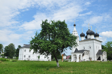 Similar image 21503048