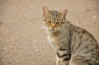 Similar image 21503054