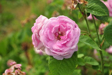 Similar image 21503491