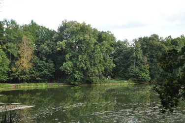 Similar image 21490011