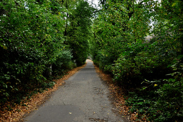 Similar image 21492132