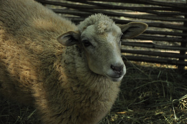 Similar image 21489582