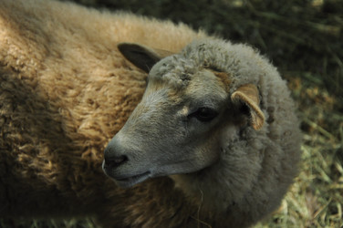 Similar image 21489583