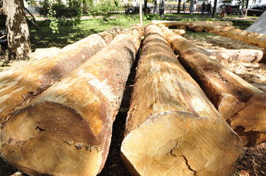 Similar image 21490040