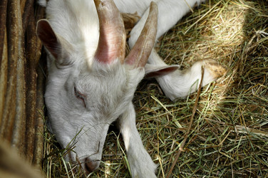 Similar image 21490045