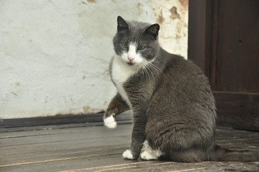 Similar image 21490049