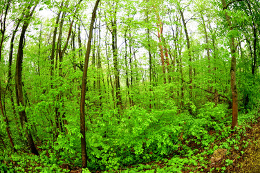 Similar image 21490050