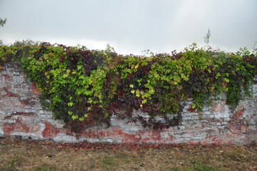 Similar image 21490074