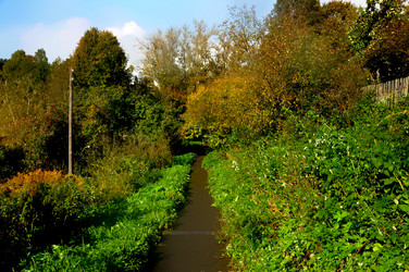 Similar image 21492145