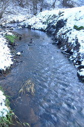 Similar image 21492149