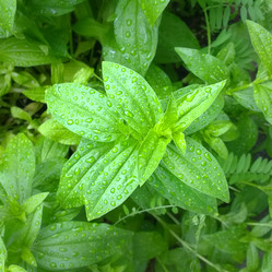 Similar image 21496647