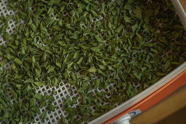 Similar image 21494542