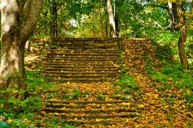 Similar image 21492150